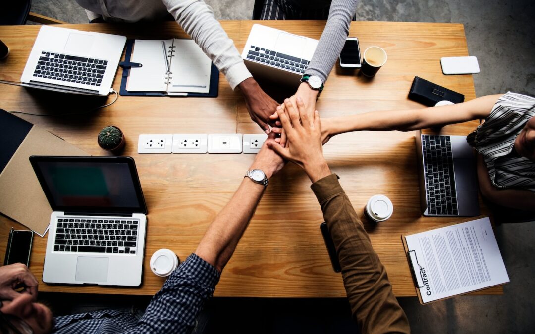 Les défis de l’insertion professionnelle